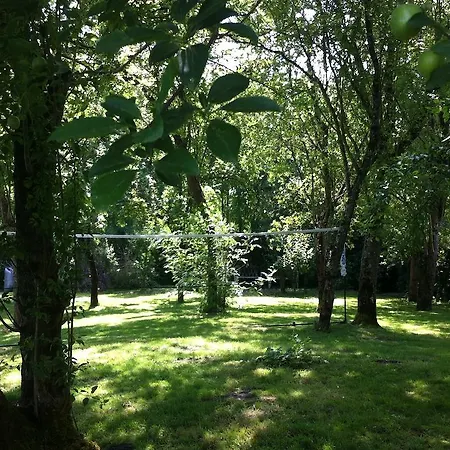 Au Bord De Sevre 3* Coulon